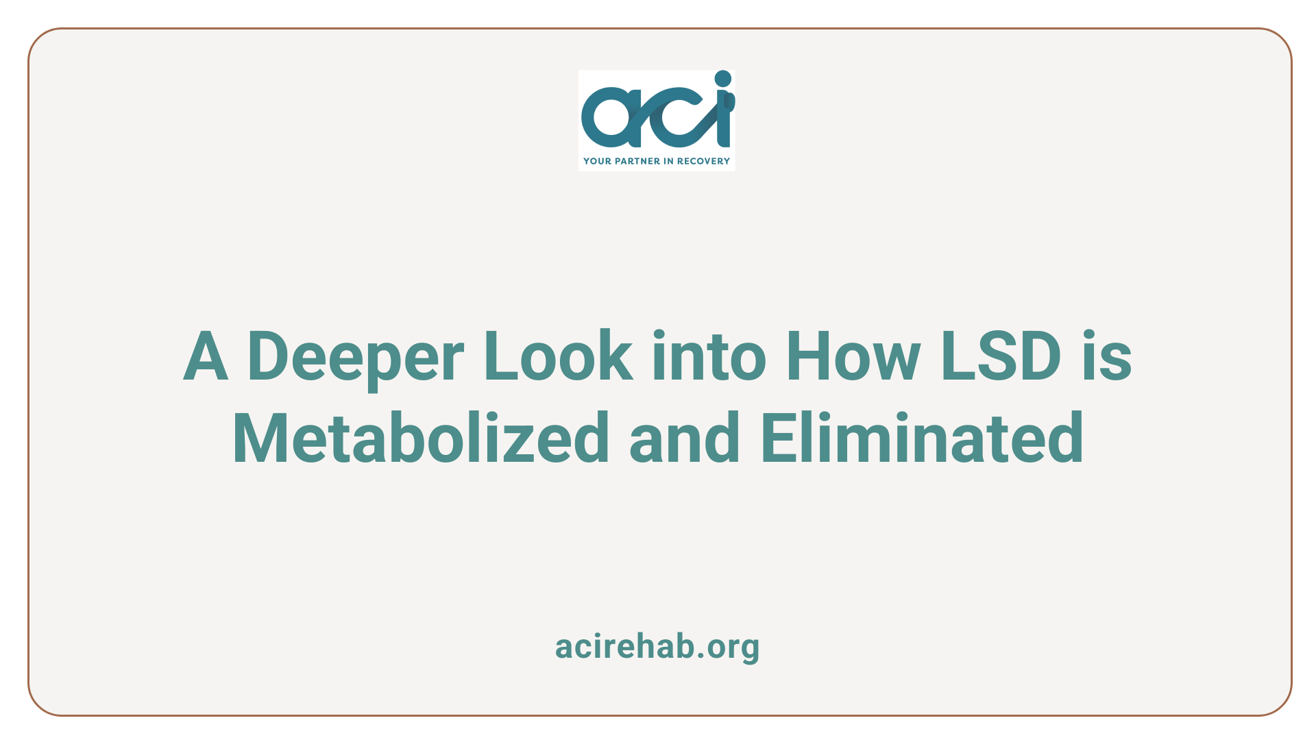 A Deeper Look into How LSD is Metabolized and Eliminated