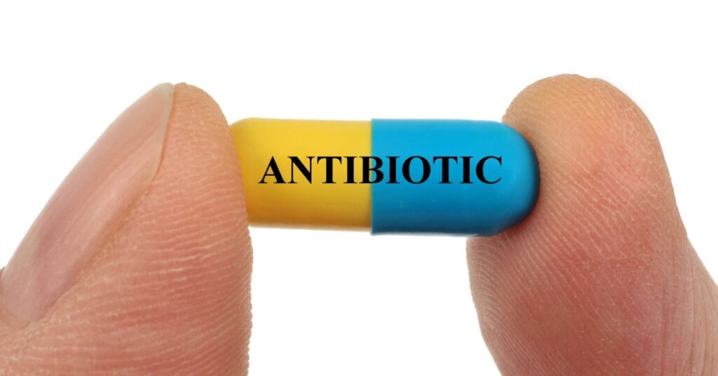 A close-up of a yellow and blue pill labeled "ANTIBIOTIC," symbolizing the interaction between antibiotics and alcohol.